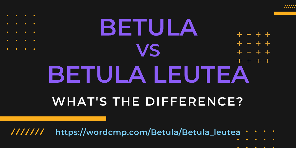 Difference between Betula and Betula leutea