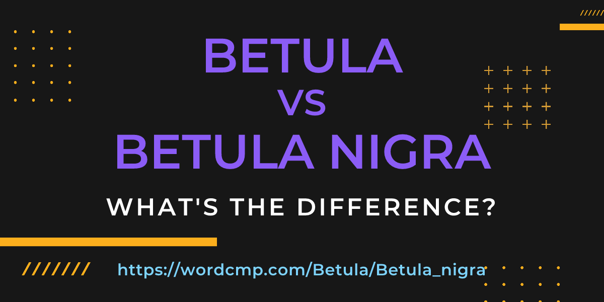 Difference between Betula and Betula nigra