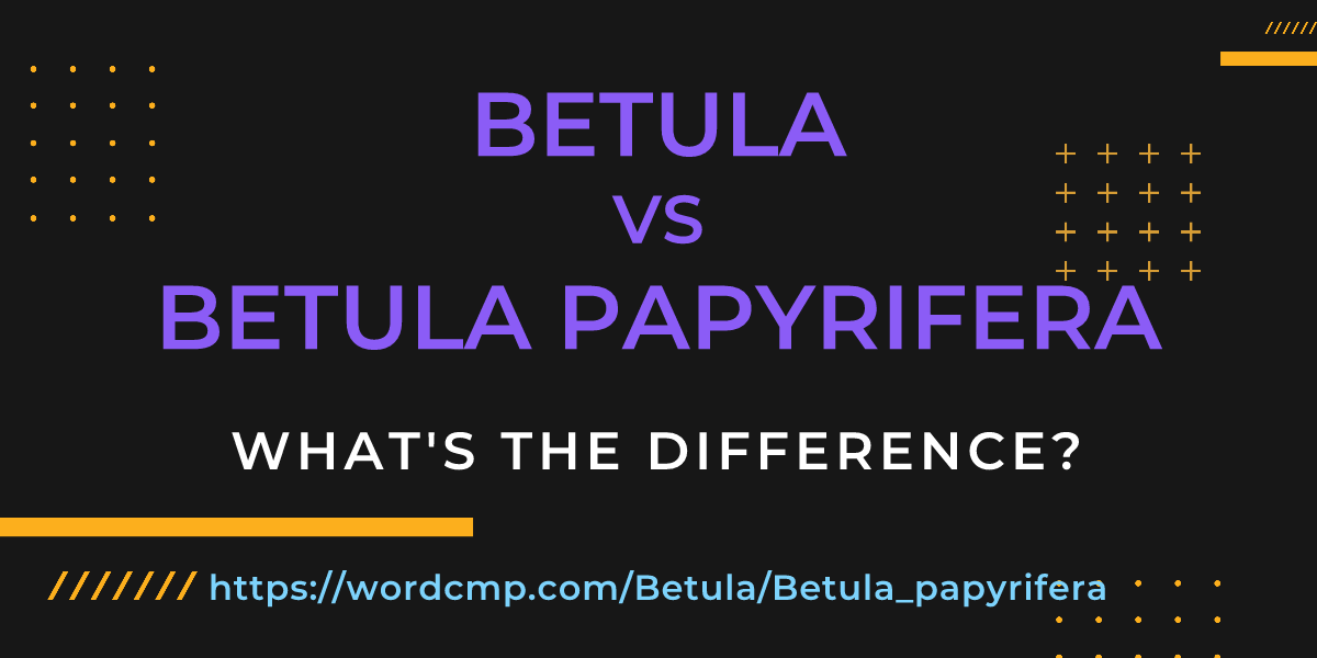 Difference between Betula and Betula papyrifera