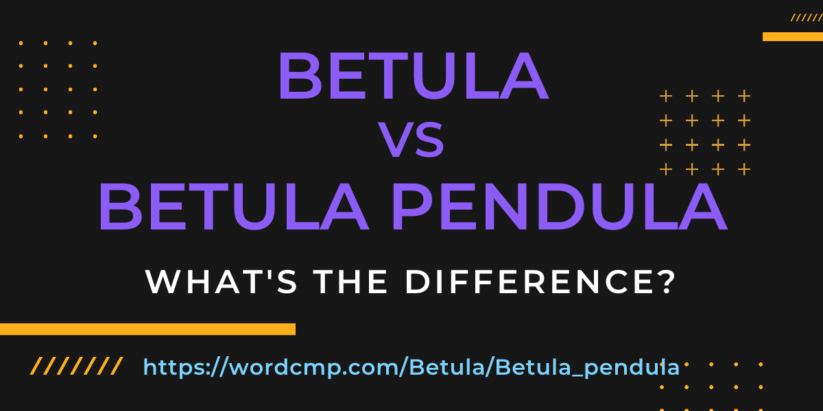Difference between Betula and Betula pendula