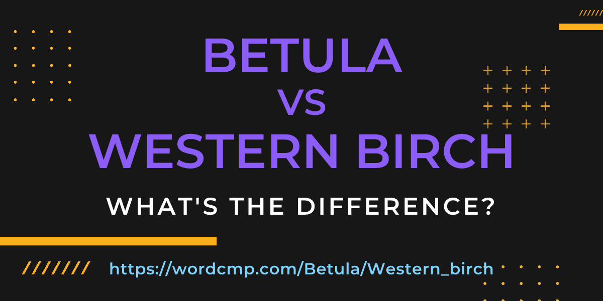 Difference between Betula and Western birch