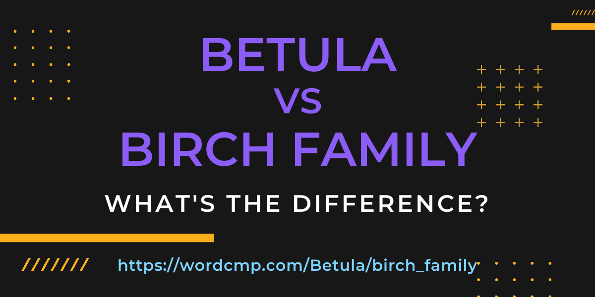 Difference between Betula and birch family