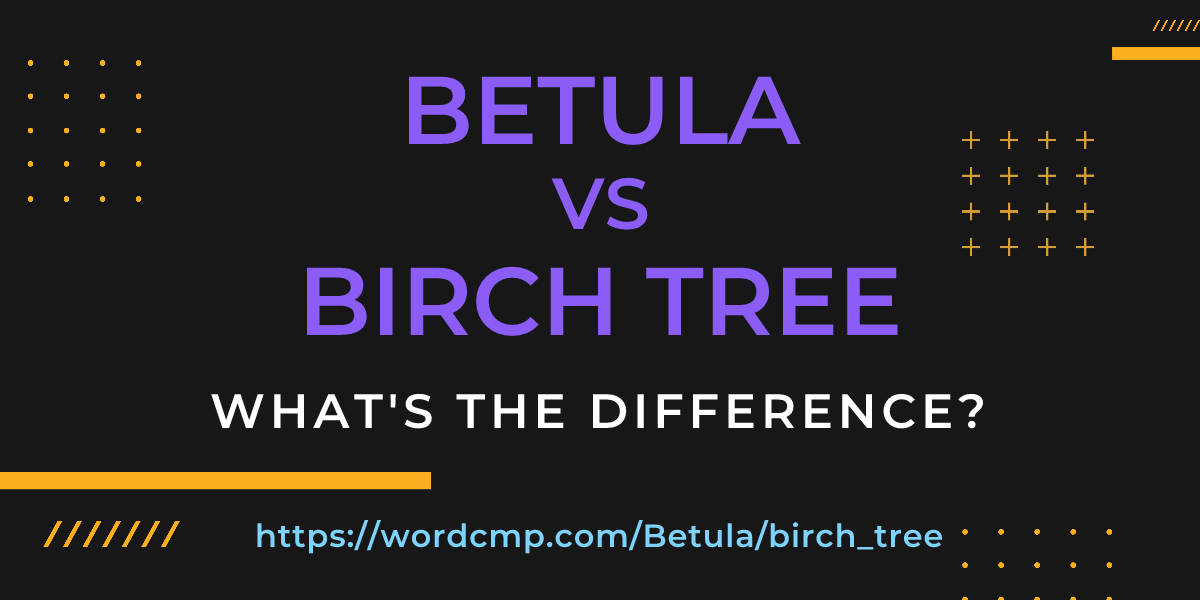 Difference between Betula and birch tree