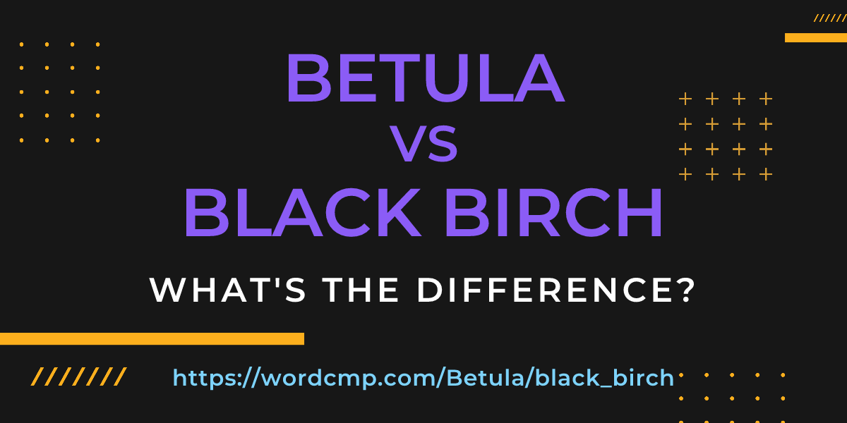 Difference between Betula and black birch