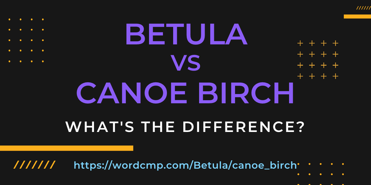 Difference between Betula and canoe birch