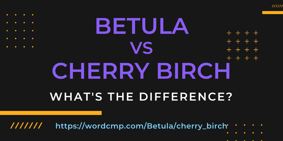 Difference between Betula and cherry birch