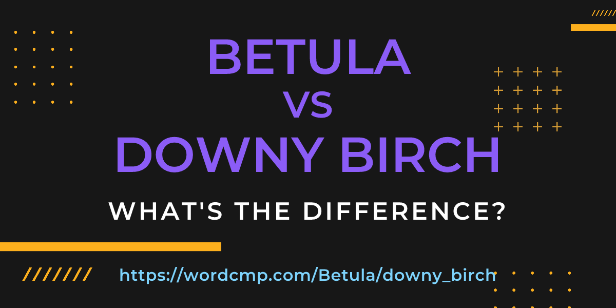 Difference between Betula and downy birch