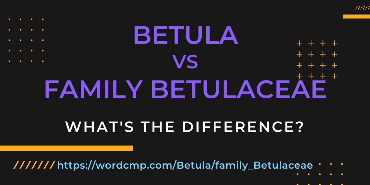 Difference between Betula and family Betulaceae