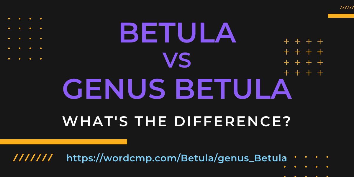 Difference between Betula and genus Betula