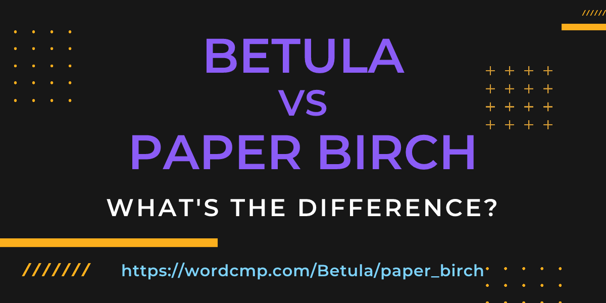 Difference between Betula and paper birch