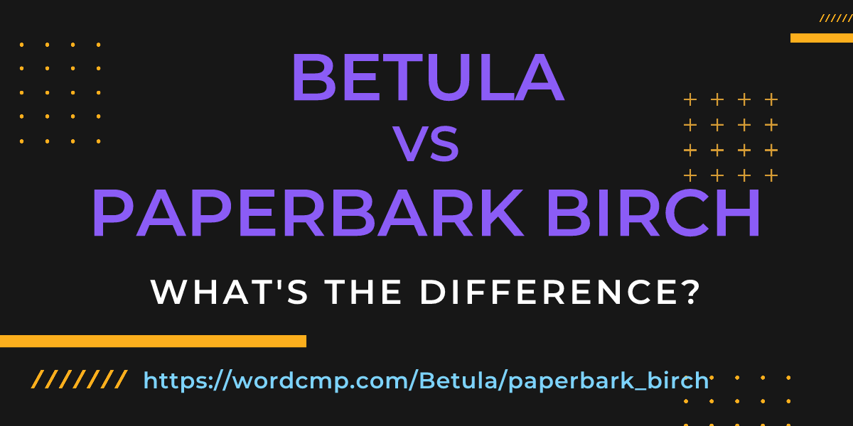 Difference between Betula and paperbark birch
