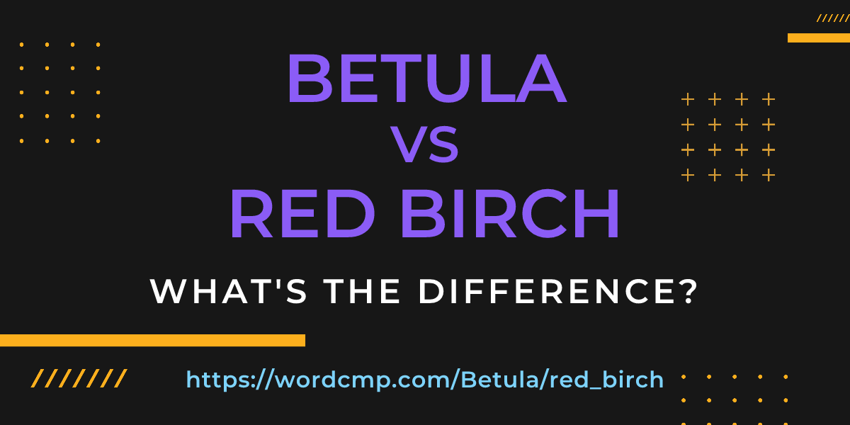 Difference between Betula and red birch