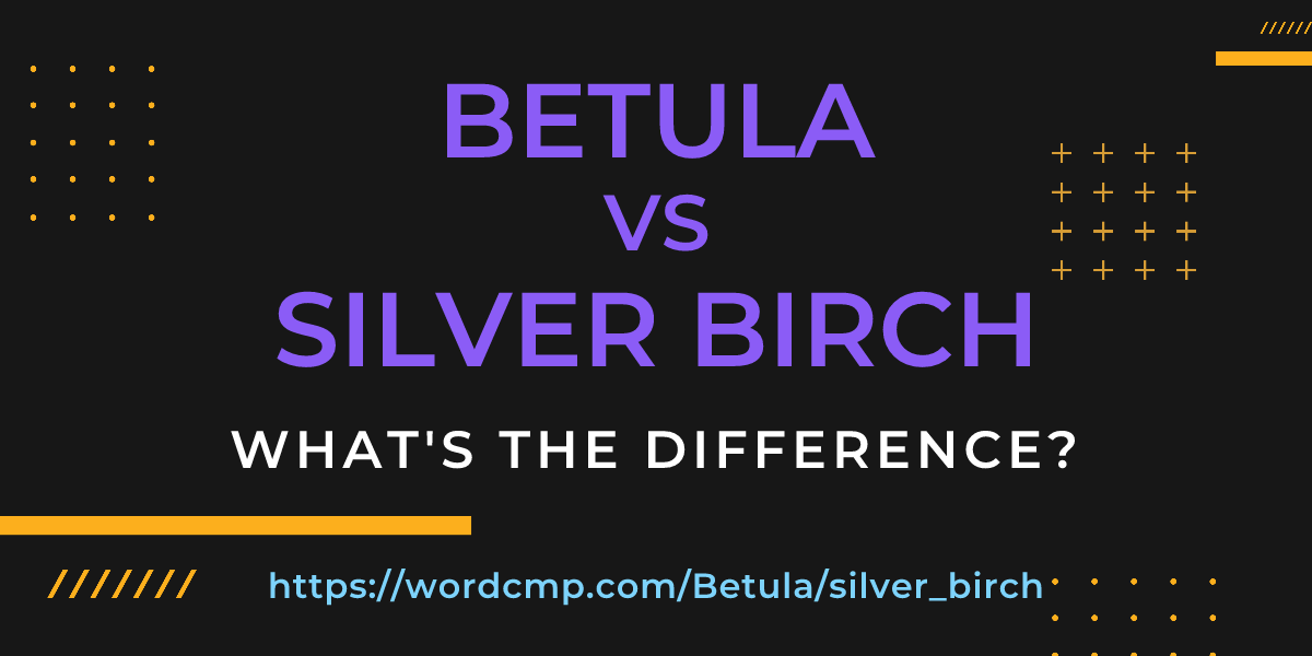 Difference between Betula and silver birch