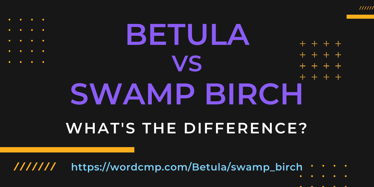 Difference between Betula and swamp birch