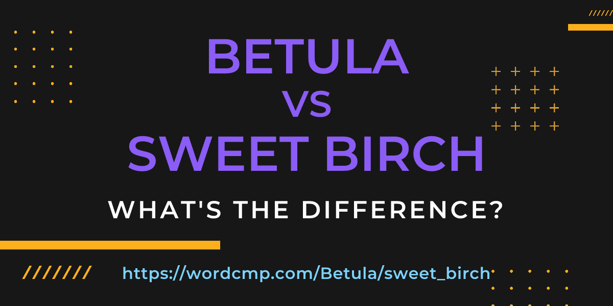 Difference between Betula and sweet birch