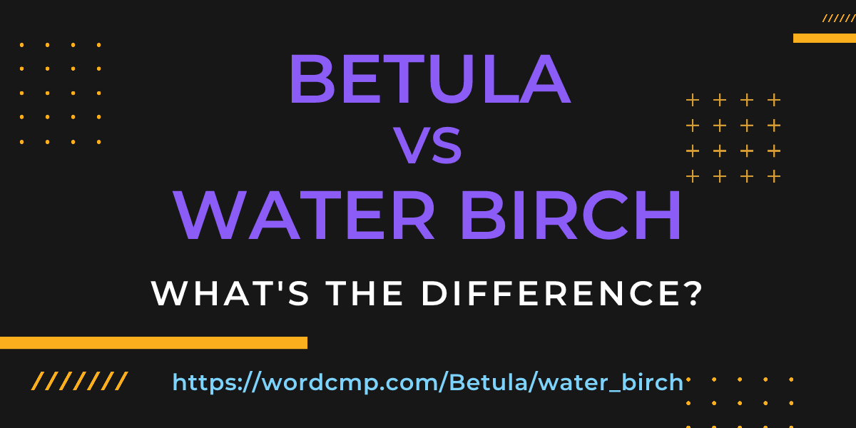 Difference between Betula and water birch