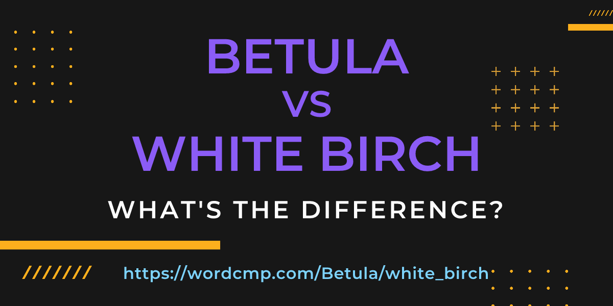 Difference between Betula and white birch