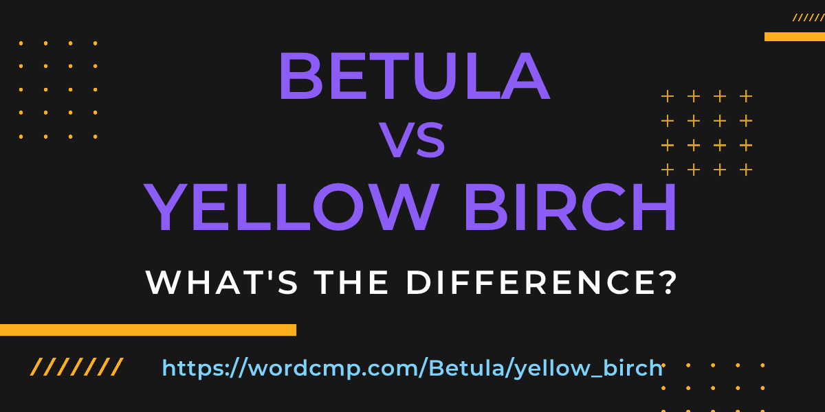 Difference between Betula and yellow birch