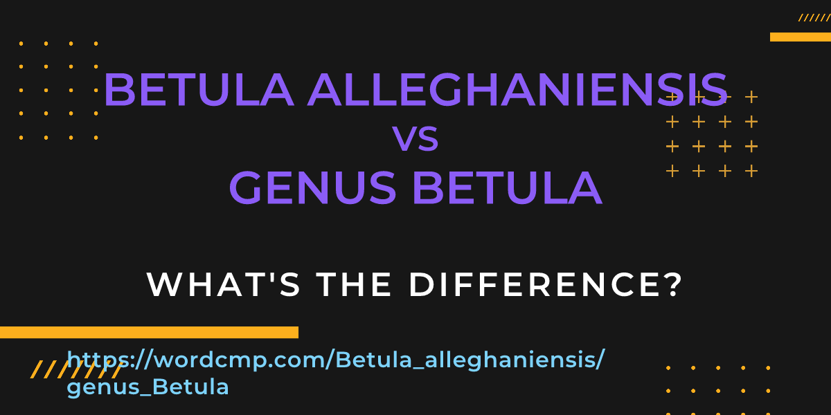 Difference between Betula alleghaniensis and genus Betula