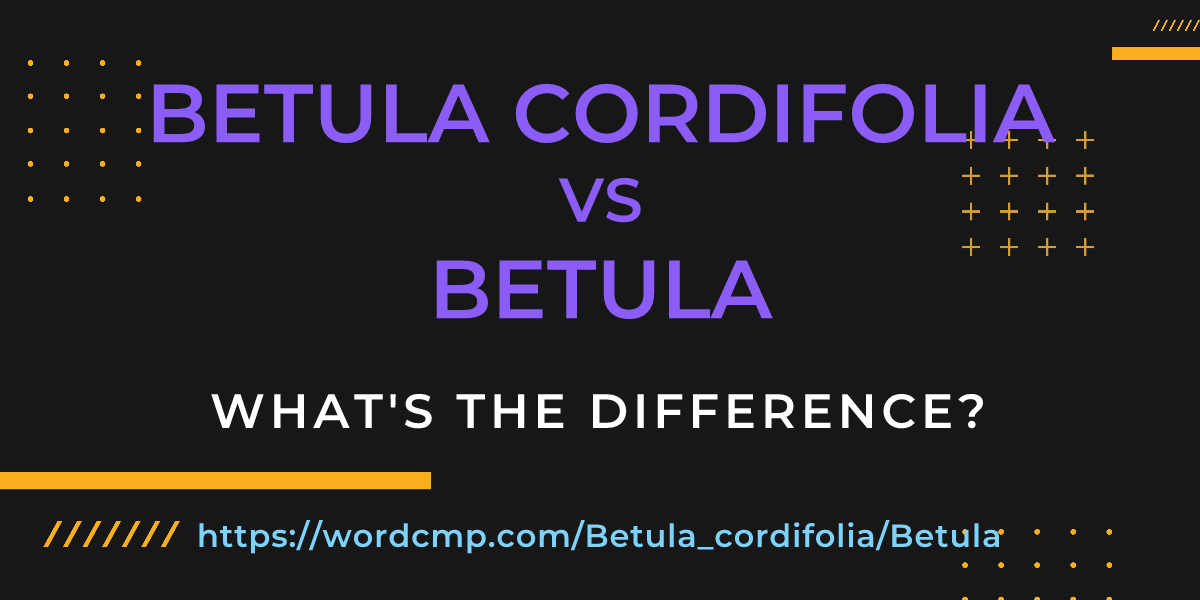 Difference between Betula cordifolia and Betula