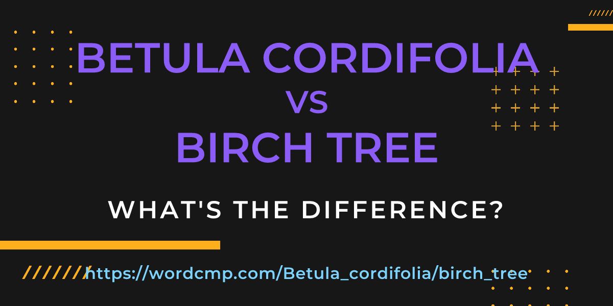 Difference between Betula cordifolia and birch tree