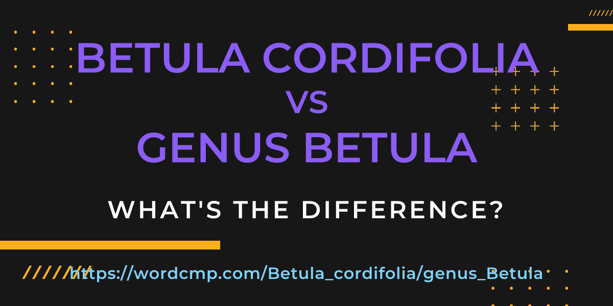 Difference between Betula cordifolia and genus Betula
