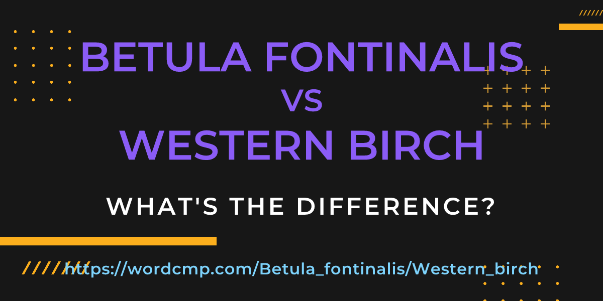 Difference between Betula fontinalis and Western birch