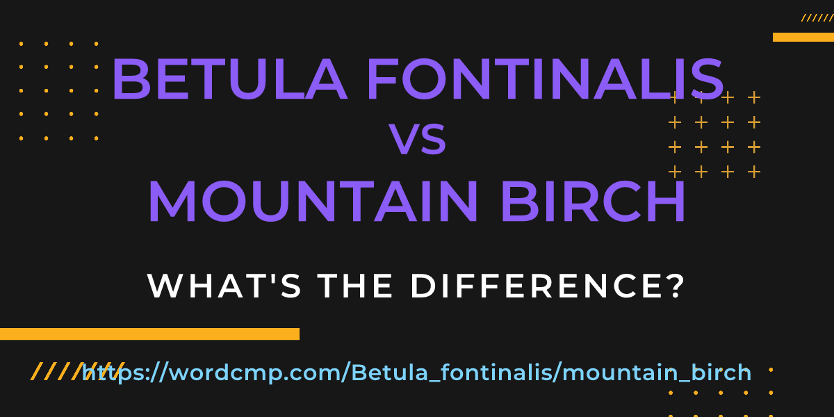 Difference between Betula fontinalis and mountain birch