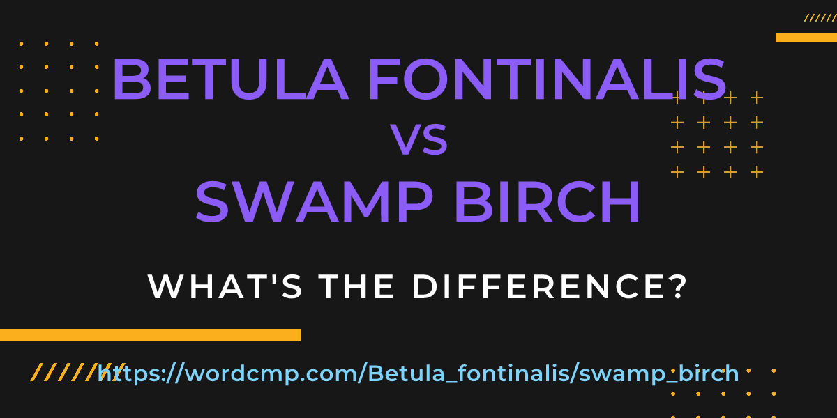Difference between Betula fontinalis and swamp birch