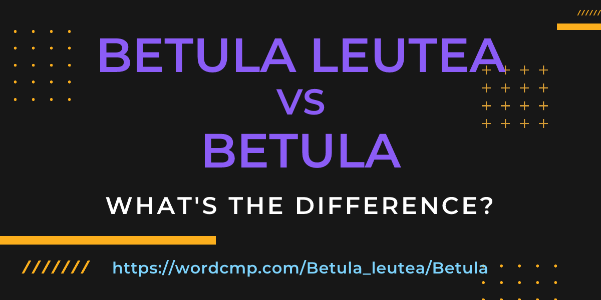 Difference between Betula leutea and Betula