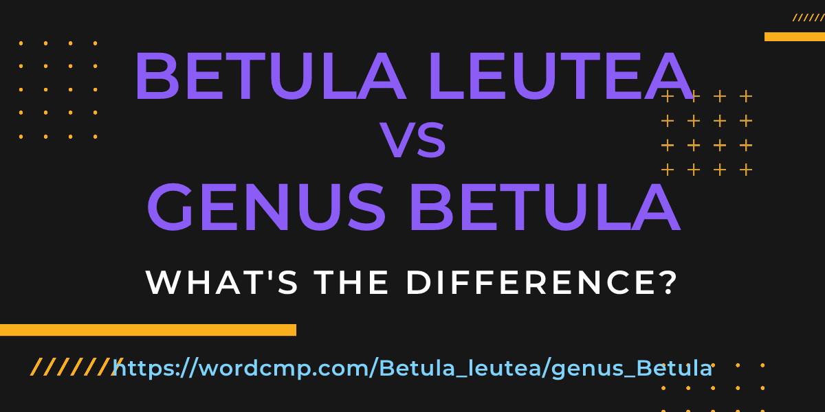 Difference between Betula leutea and genus Betula