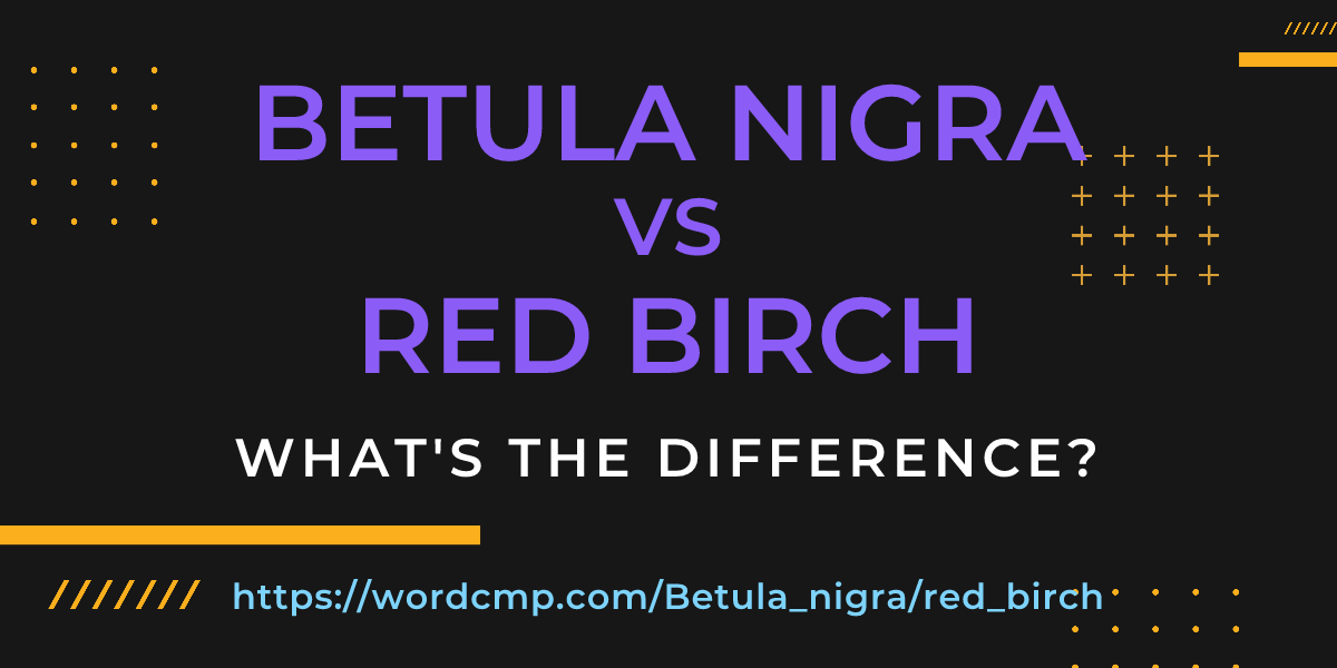 Difference between Betula nigra and red birch