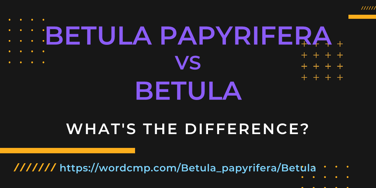 Difference between Betula papyrifera and Betula
