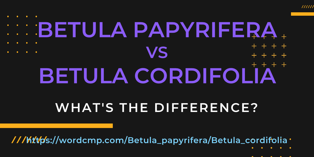 Difference between Betula papyrifera and Betula cordifolia