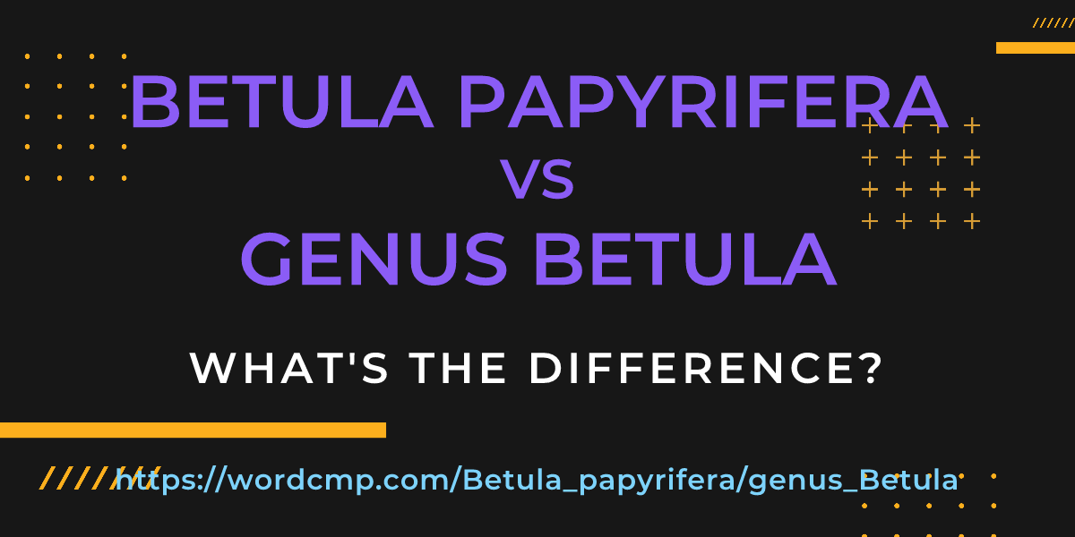 Difference between Betula papyrifera and genus Betula