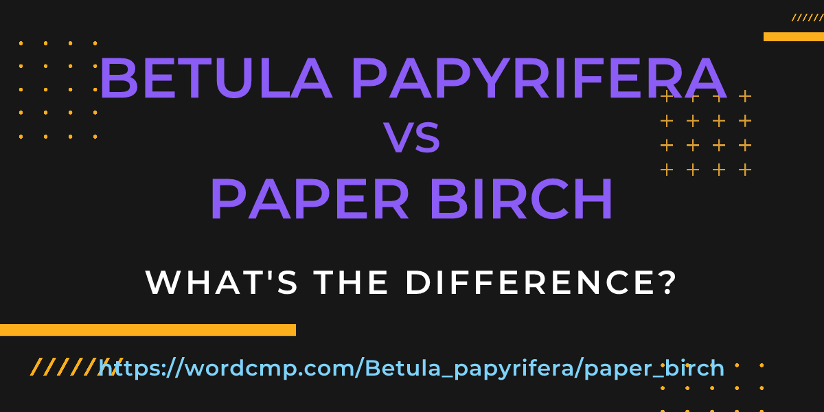 Difference between Betula papyrifera and paper birch