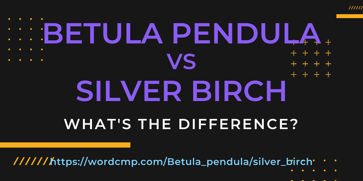 Difference between Betula pendula and silver birch