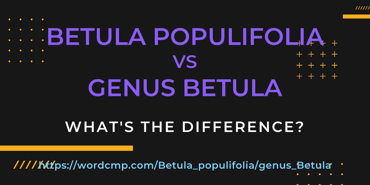 Difference between Betula populifolia and genus Betula