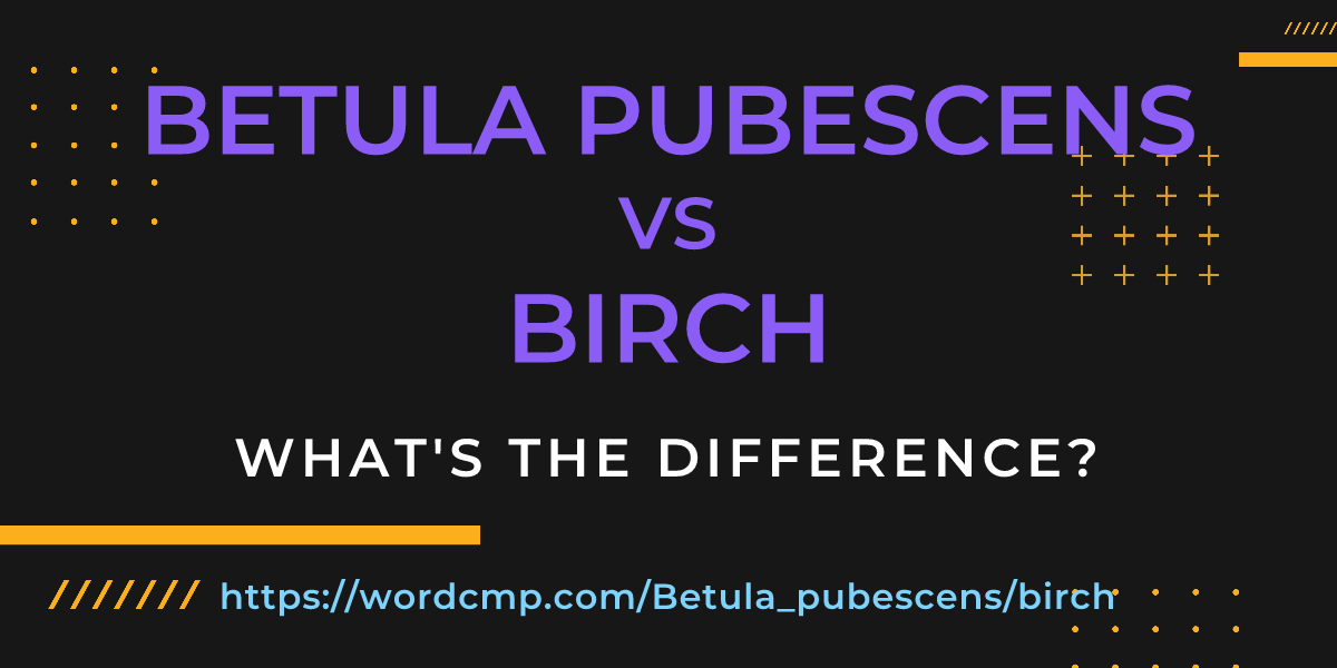 Difference between Betula pubescens and birch