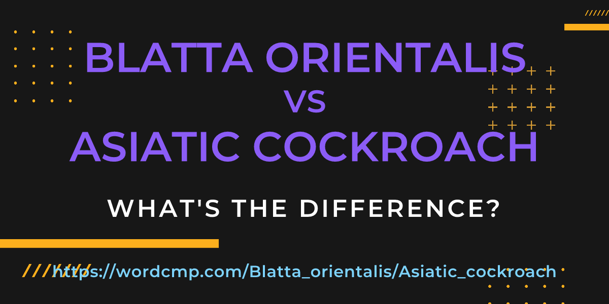 Difference between Blatta orientalis and Asiatic cockroach