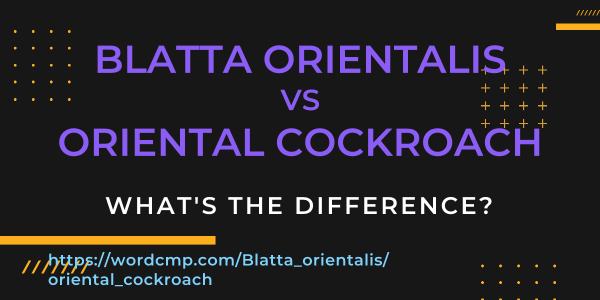 Difference between Blatta orientalis and oriental cockroach