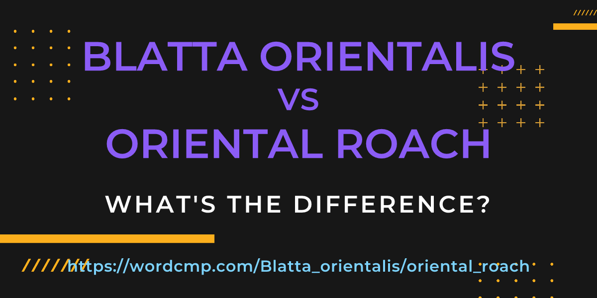 Difference between Blatta orientalis and oriental roach