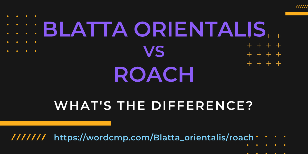 Difference between Blatta orientalis and roach