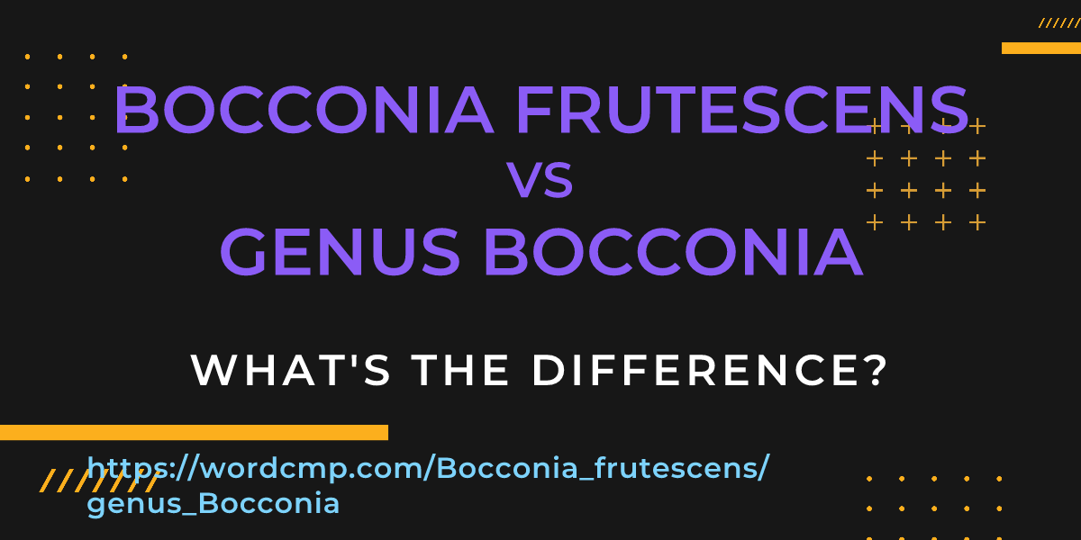 Difference between Bocconia frutescens and genus Bocconia