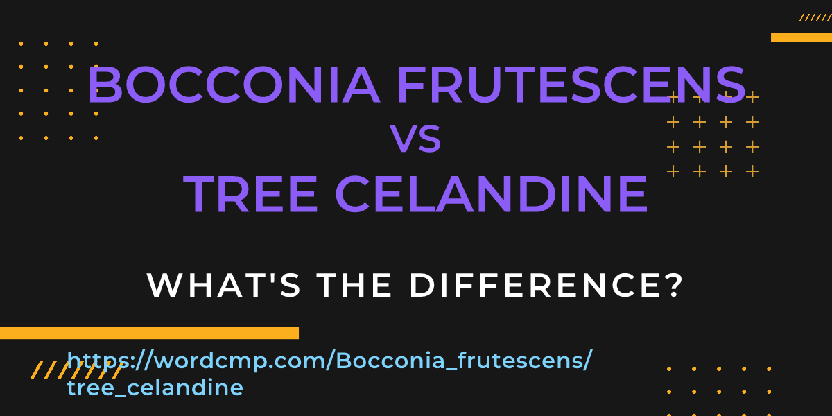 Difference between Bocconia frutescens and tree celandine