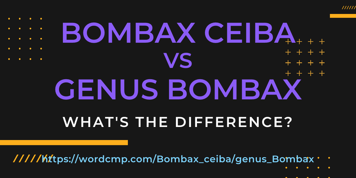 Difference between Bombax ceiba and genus Bombax