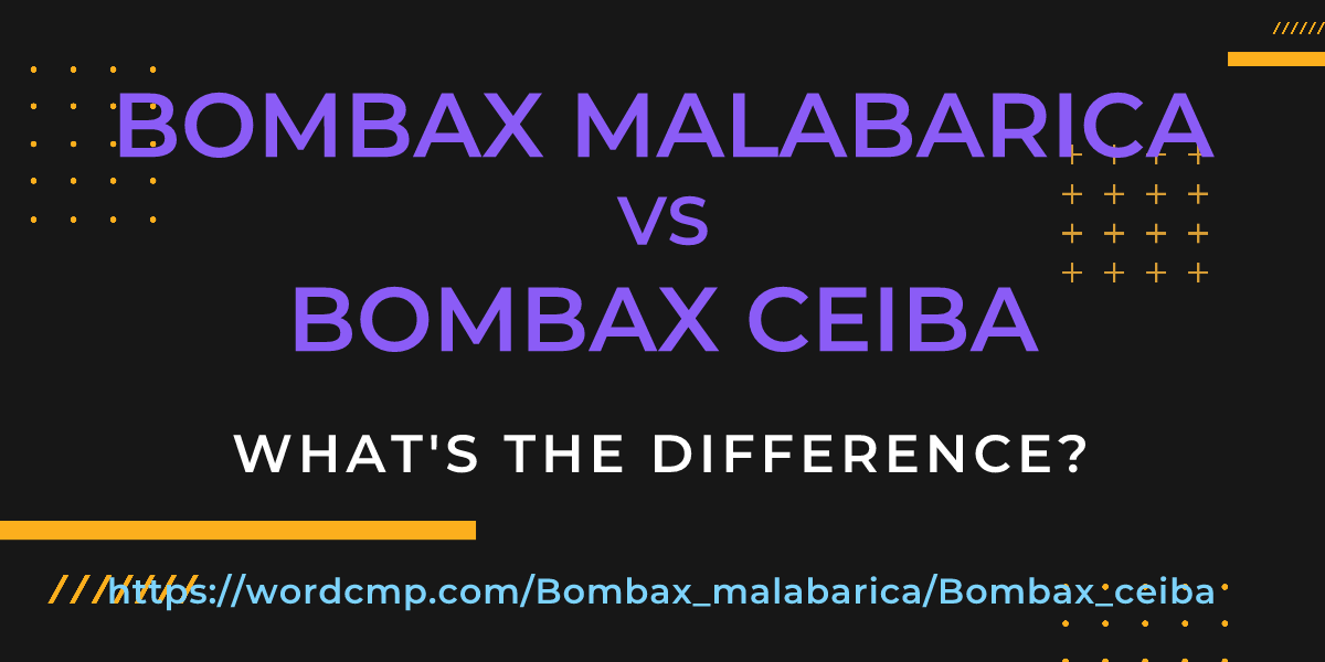 Difference between Bombax malabarica and Bombax ceiba
