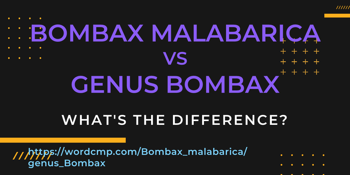 Difference between Bombax malabarica and genus Bombax
