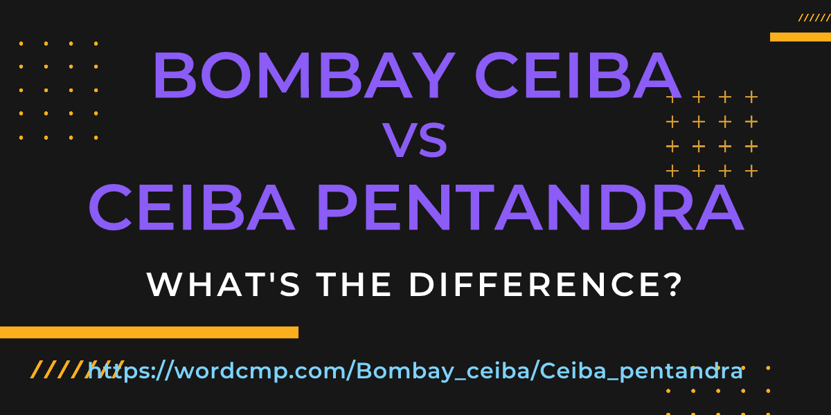 Difference between Bombay ceiba and Ceiba pentandra