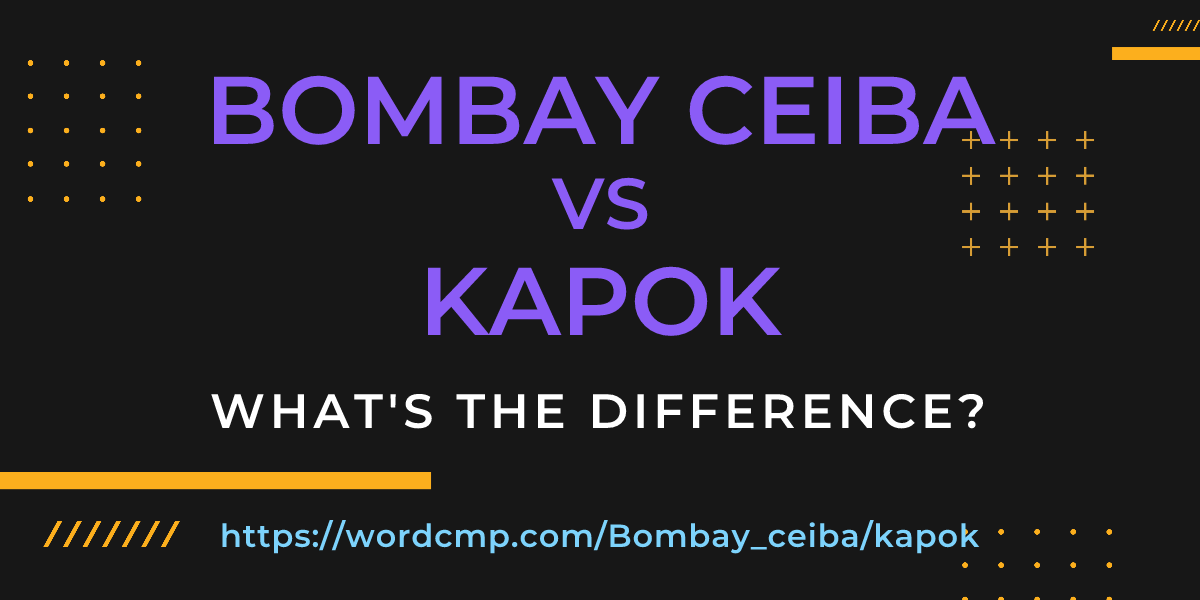 Difference between Bombay ceiba and kapok